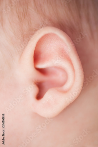 Close up of baby ear.