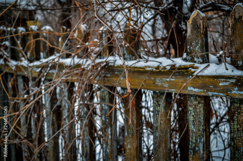 Wallpaper Mural Old wooden fence Torontodigital.ca