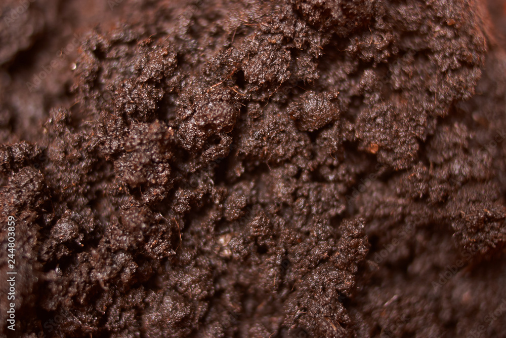 Ground for plant close up. selective focus. Concept ecology Ground for plant close up. selective focus. Concept ecology