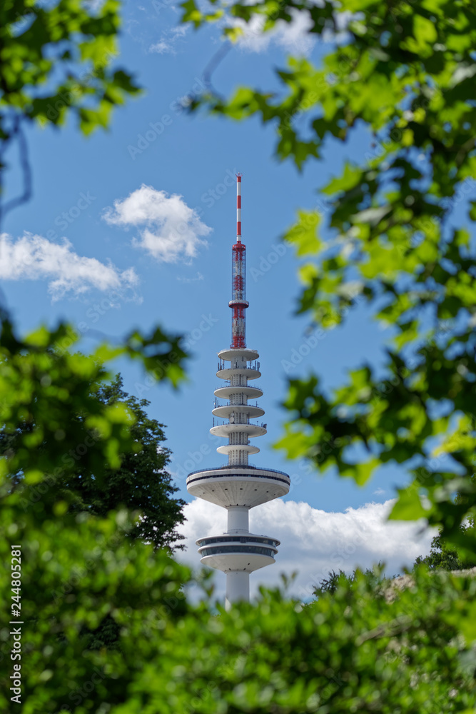 Looking onto Hamburg's television tower against blue sky through green tree branches