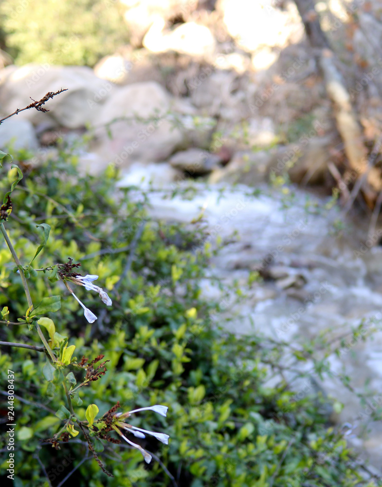 Ojai Valley California mountains in nature after rain Ojai Valley California mountains in nature after rain