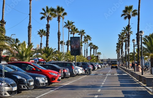 viale alberato con palme sul porto di Barcellona