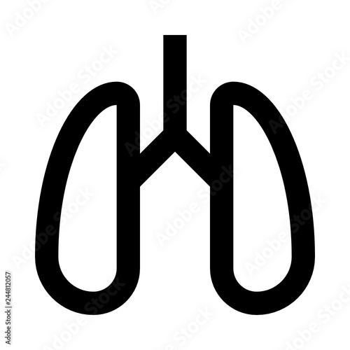 Lungs internal organ