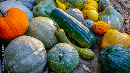 Winter Squashes and Pumpkins 3.