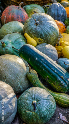 Winter Squashes and Pumpkins 4.