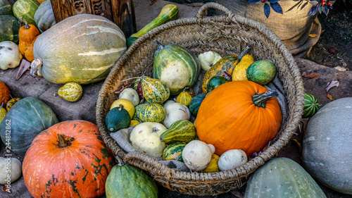 Winter Squashes and Pumpkins 5.