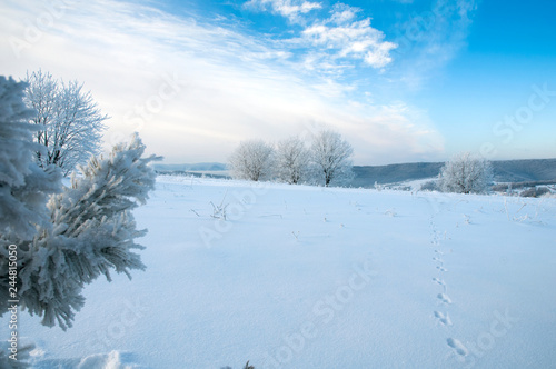 beautiful winter landscapes in the valleys © mikhailgrytsiv