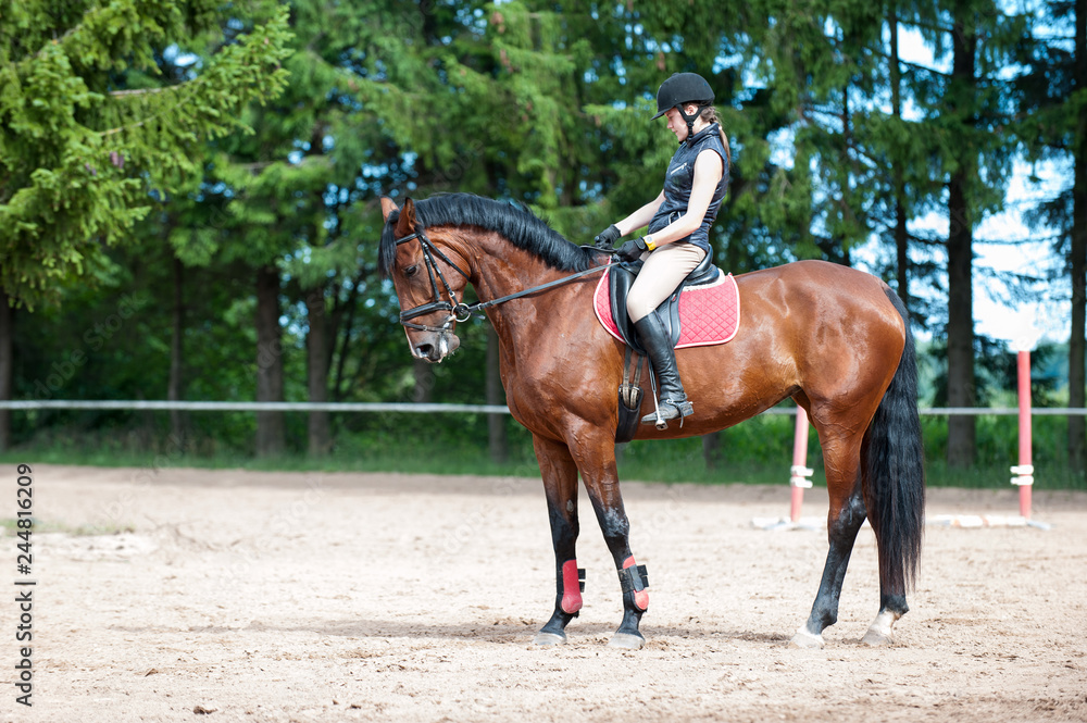 Young lady riding a horse at equestrian school. Training process Young lady riding a horse at equestrian school. Training process