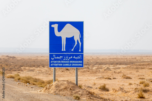 Attention camels crossing road sign in Tunisia, Africa