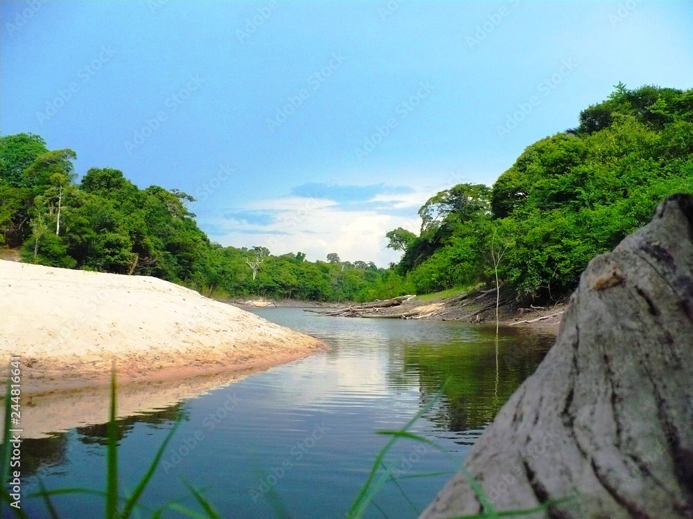 river in the forest river in the forest