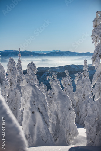 Zima- krajobraz- ferie zimowe