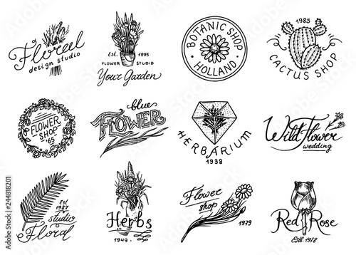 Flower shop emblems and logo. Vintage bouquet. Gardening signs and retro label. Hand drawn badges. Floral templates.