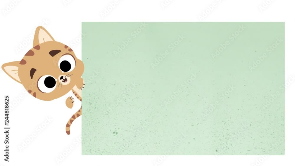 Gato mostrando un cartel