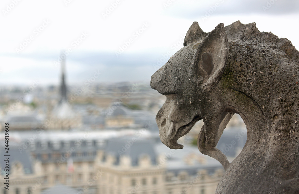 gargoyle shows the language in the church of Notre Dame