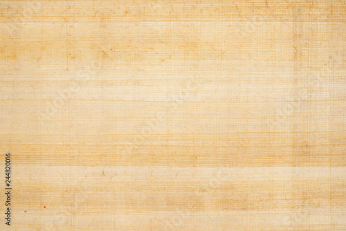 Antique papyrus as background, paper texture
