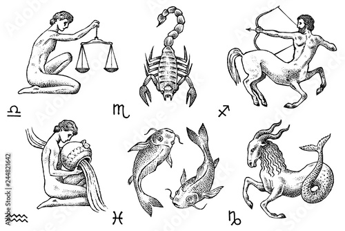 Zodiac icons. Astrology horoscope with signs. Calendar template. Collection outline animals. Classic vintage style. Libra Scorpio Sagittarius Capricorn Aquarius Pisces. Engraved hand drawn sketch.