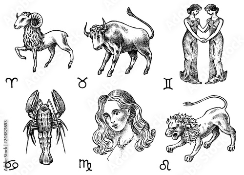 Zodiac icons. Astrology horoscope with signs. Calendar template. Collection outline animals. Classic vintage style. Aries Taurus Gemini Cancer Leo Virgo. Engraved hand drawn sketch.