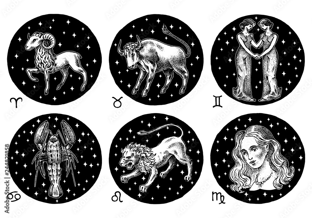 Zodiac icons. Astrology horoscope with signs. Calendar template. Collection  outline animals. Classic vintage style. Aries Taurus Gemini Cancer Leo  Virgo. Engraved hand drawn sketch. Stock Vector | Adobe Stock