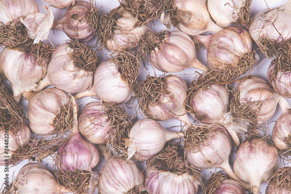 Dry organic garlic heads background.