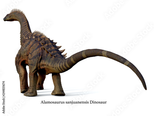 Alamosaurus Dinosaur Tail with Font - Alamosaurus was a titanosaur sauropod herbivorous dinosaur that lived in North America during the Cretaceous Period.