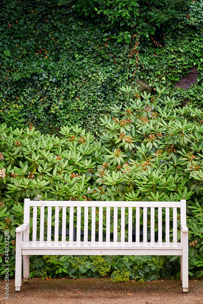 White park bench in front of green plants background. White park bench in front of green plants background.