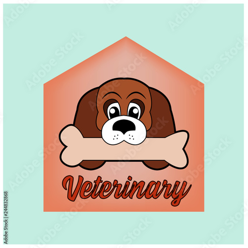 Vector illustration of a Veterinary label