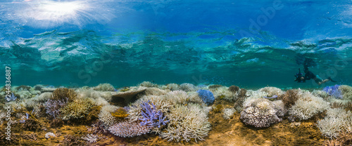 Fluorescing coral reef with photographer