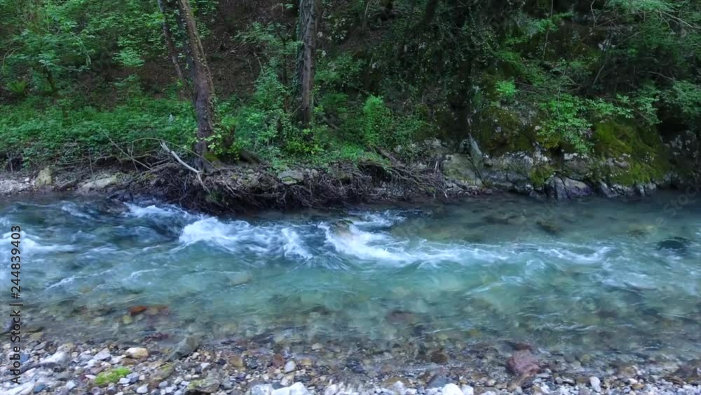 close flight over fast narrow mountain river with transparent water and foamy rapids against forestry bank