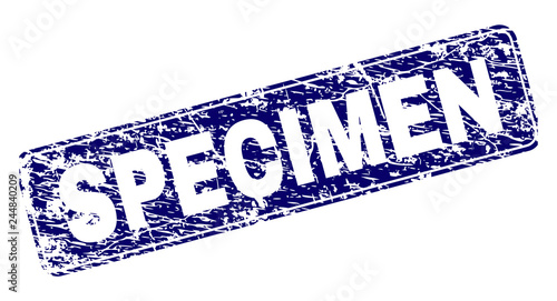 SPECIMEN stamp seal print with grunge texture. Seal shape is a rounded rectangle with frame. Blue vector rubber print of SPECIMEN text with unclean texture.