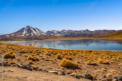 Altiplanic Lagoon Miscanti Lagoon in the Atacama Desert, Chile