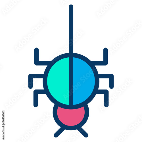 Spider