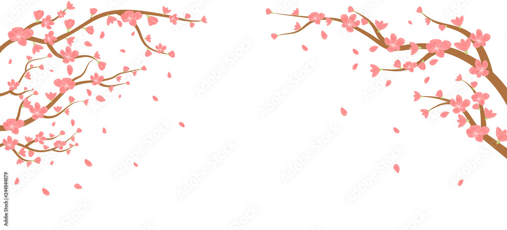 Watercolor sakura frame. Background with blossom cherry tree branches. Hand drawn japanese flowers on white background Watercolor sakura frame. Background with blossom cherry tree branches. Hand drawn japanese flowers on white background