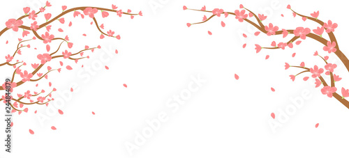 Watercolor sakura frame. Background with blossom cherry tree branches. Hand drawn japanese flowers on white background