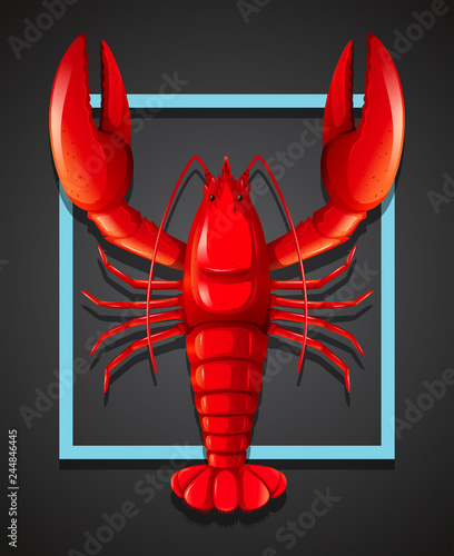 A red lobster on black template