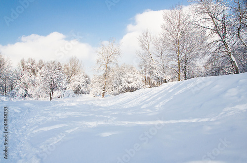 sunny and snowy day in the park © mskphotolife