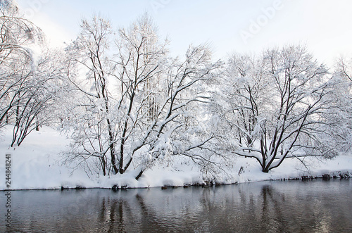 river and trees in snow on the shore in winter