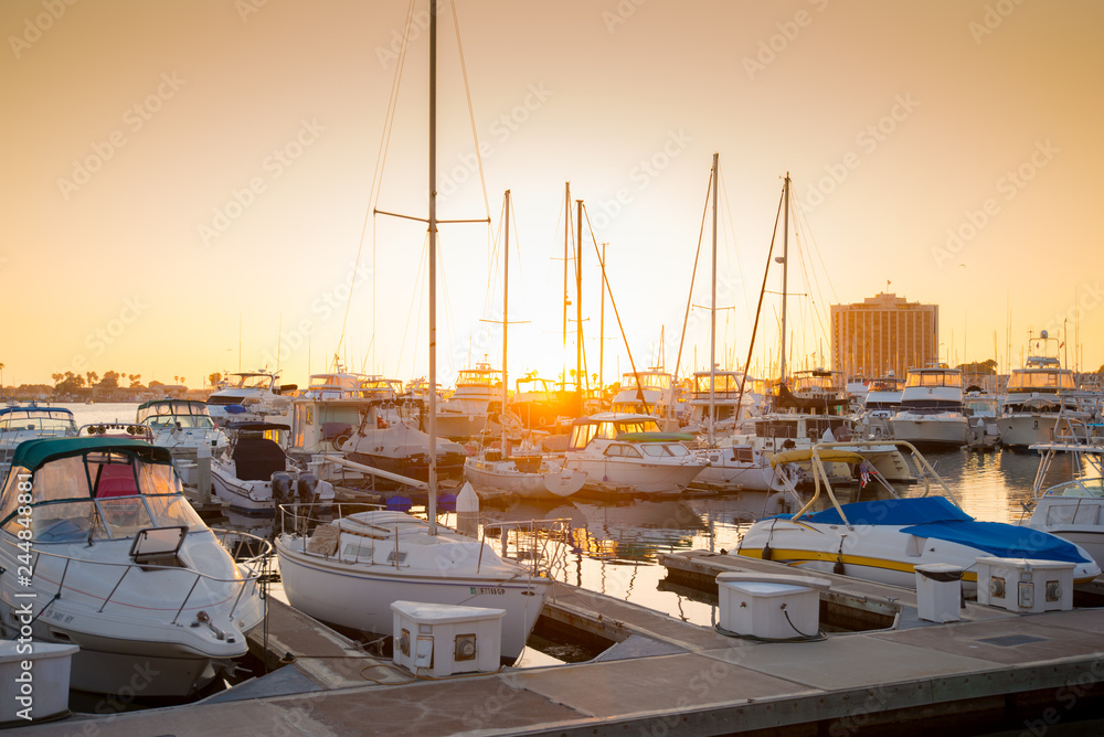 San Diego Harbor, boats, sunset, palm trees, water