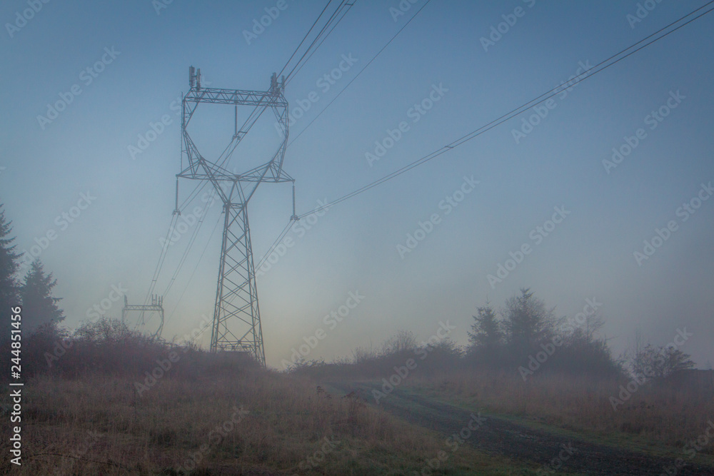 Power Lines Covered in Blue Tinted Fog on a Cold, Winter Morning in the Pacific Northwest 
