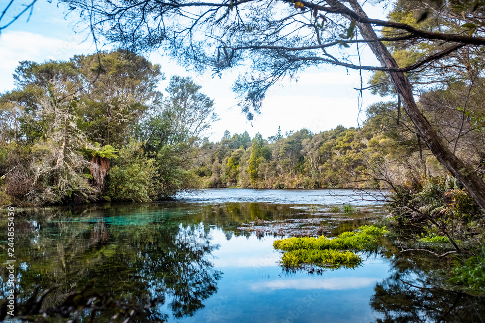 Fototapeta premium Beautiful natural Waikoropupu springs. Takaka, New Zealand.
