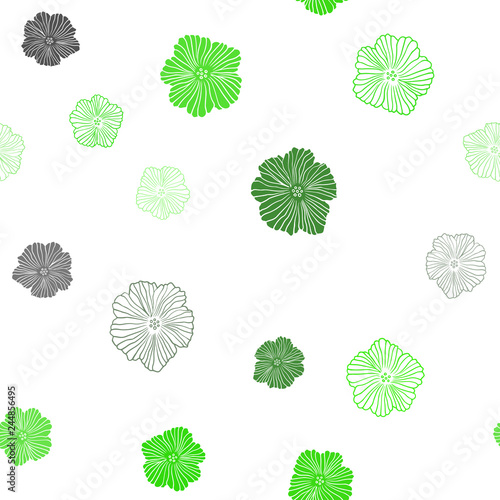 Light Green vector seamless abstract backdrop with flowers.