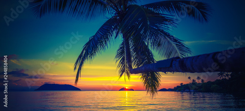The silhouette of a coconut palm on the background of the sea and a stunning bright sunset  wallpaper  background and texture for advertising  panoramic banner format