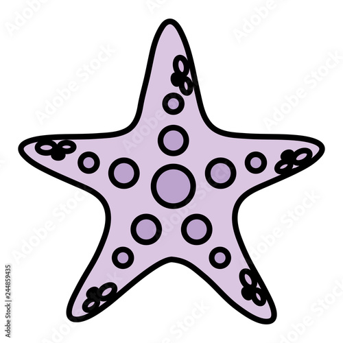 sea star icon