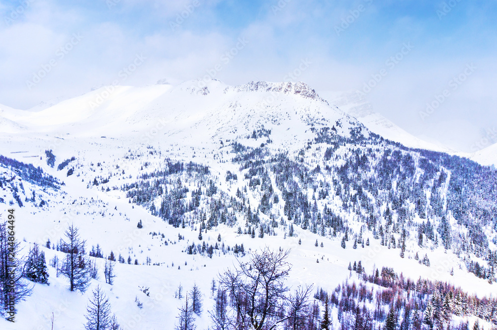 Snowy Mountain Landscape of the Canadian Rockies in Winter Snowy Mountain Landscape of the Canadian Rockies in Winter