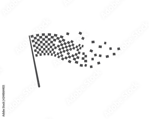 Race flag vector