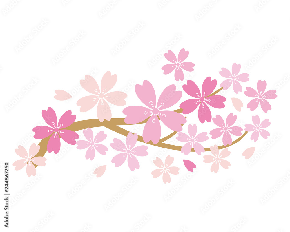 桜