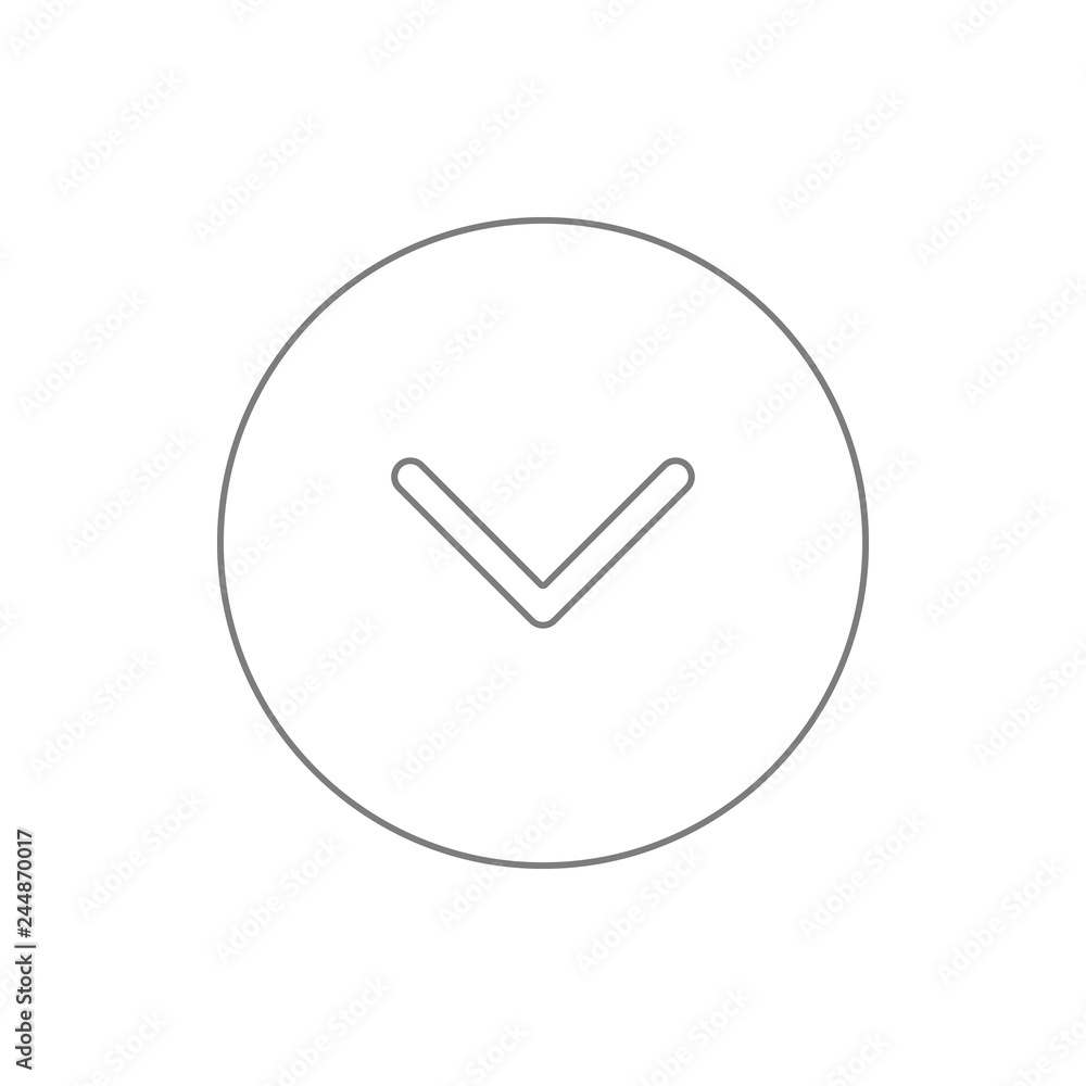 check ok icon. Element of cyber security for mobile concept and web apps icon. Thin line icon for website design and development, app development check ok icon. Element of cyber security for mobile concept and web apps icon. Thin line icon for website design and development, app development