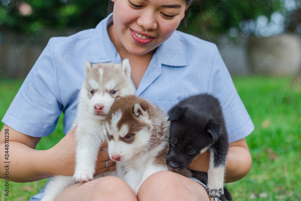 Young woman was carrying a puppy Siberian husky with love and kindness. Young woman was carrying a puppy Siberian husky with love and kindness.