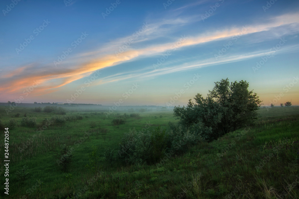 Spring dawn in the steppe. Blue sky is covered with a pattern of soft clouds.