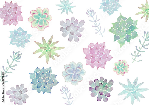 多肉植物 背景 テキスタイル 水彩 イラスト Stock イラスト Adobe Stock 多肉植物 背景 テキスタイル 水彩 イラスト Stock イラスト Adobe Stock