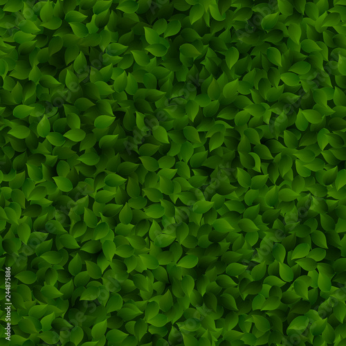 Seamless green leaves pattern spring or summer fresh background. EPS 10
